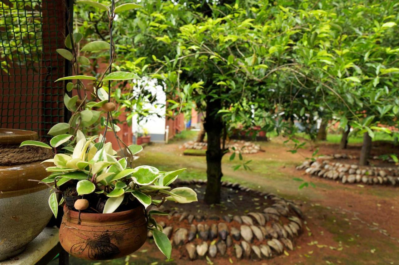 Stayvista At La Riva Heritage Villa With Bicycle Alappuzha Екстер'єр фото